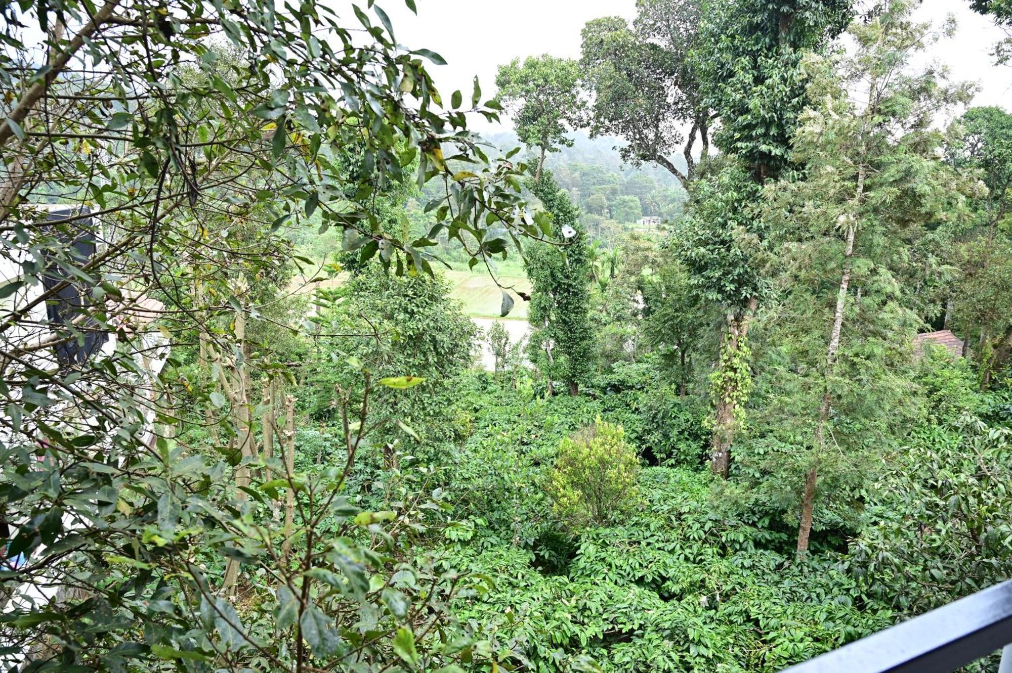 Grand Misty Heaven Villa Madikeri Bagian luar foto