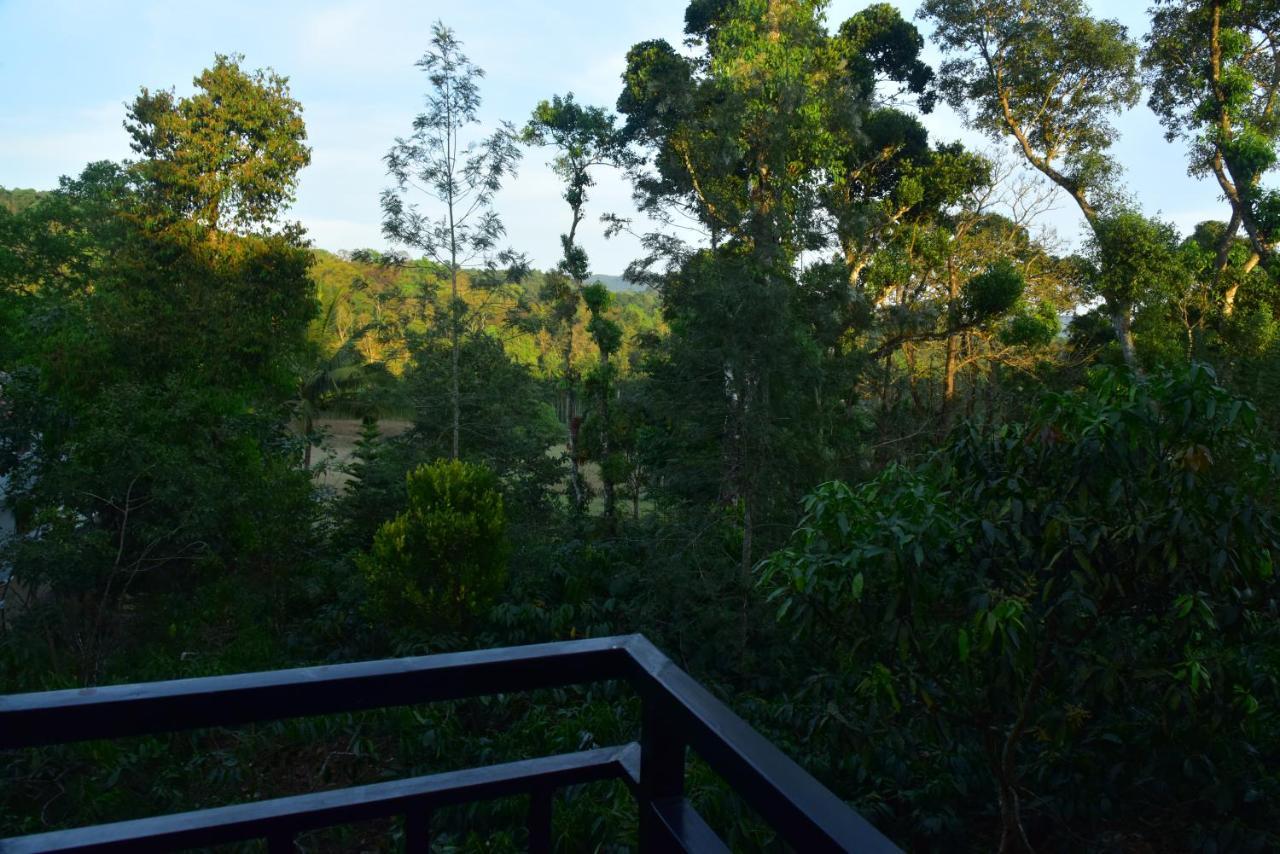 Grand Misty Heaven Villa Madikeri Bagian luar foto